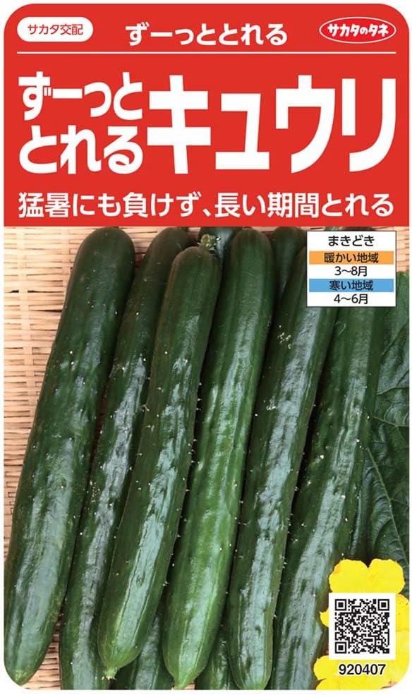 必見】キュウリの初心者におすすめな品種を野菜栽培士が5つ紹介 
