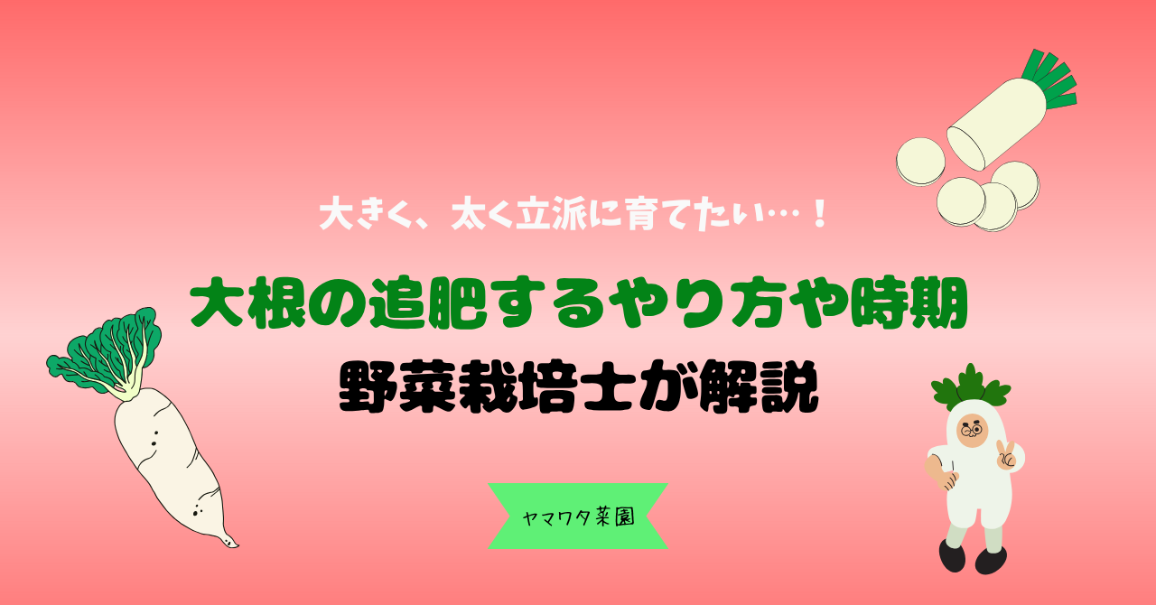 大根 の 追肥 時期