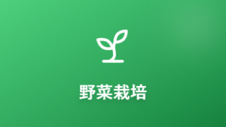 野菜栽培