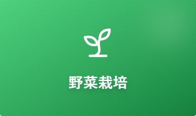 野菜栽培